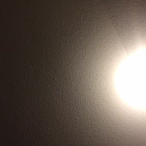 Meet your Posher, Tobi